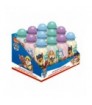 Cantimplora aluminio Patrulla Canina Paw Patrol 50