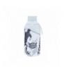 THERMAL BOTTLE 500ML - ICE FOOTBALL TEAM