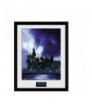 Poster Enmarcado Harry Potter Hogwarts Painted