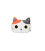 ALMOHADA GATO ORANGE