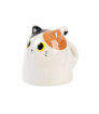 Taza de Cerámica UP & DOWN ORANGE CAT