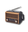 RADIO SOLAR VINTAGE DIAL ANALÓGICO ASA COBRE/3 BND