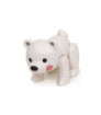 Oso Polar