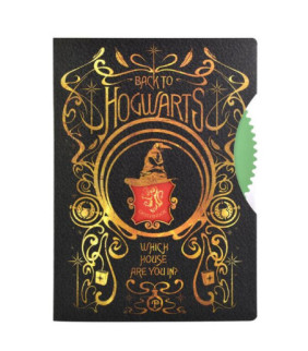 Cuaderno Harry Potter colección escudo de colores