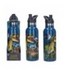 Dino World botella GALAXY