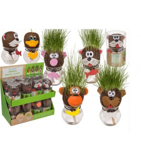 Cabeza de hierba animales en lata de plástico