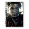 Libreta Efecto 3D Cara Harry Potter