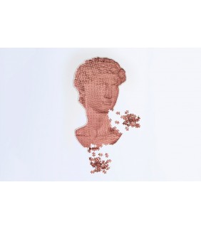Slow Puzzle David de Miguel Ángel