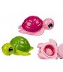 Brillo labial    TORTUGA   2C
