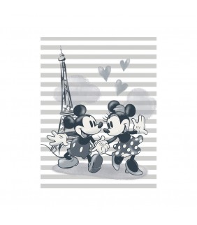 Canvas 30x40 DOISNEY MICKEY Y MINNIE PARIS