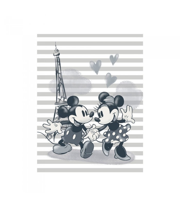 Canvas 30x40 DOISNEY MICKEY Y MINNIE PARIS