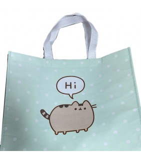 Bolsa de la Compra Reutilizable Hecha con Botellas