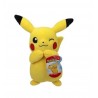 Pokemon peluche