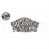Mascarilla zebra homologada