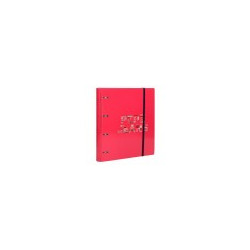 Carpeta con anillas , recambio y separadores Pepe
