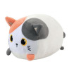 Cojin Pequeño gato naranja