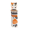 BOLIGRAFO BORRABLE CLIMBY GATO TRICOLOR 