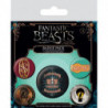 SET CHAPASANIMALES FANTÁSTICOS