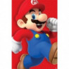POSTER NINTENDO SUPER MARIO RUN