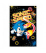 POSTER SONIC SPEED