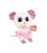 NINA the Mouse