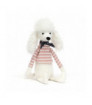 Beatnik Buddy Poodle