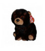 KODI the Black Bear