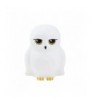 LAMPARA 3D HARRY POTTER HEDWIG