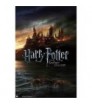 POSTER HARRY POTTER Y LAS RELIQUIAS DE LA MUERTE