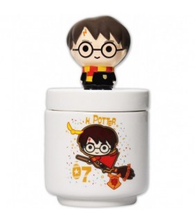 BOTE CERÁMICA CON TAPA 3D HARRY POTTER