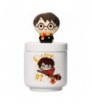 BOTE CERÁMICA CON TAPA 3D HARRY POTTER