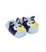 Zapatillas De Casa 3d Bluey