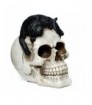 Figura Calavera Calavera Decorativa con Gato Negro
