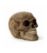 Calavera Decorativa Intricado Forma Damasco